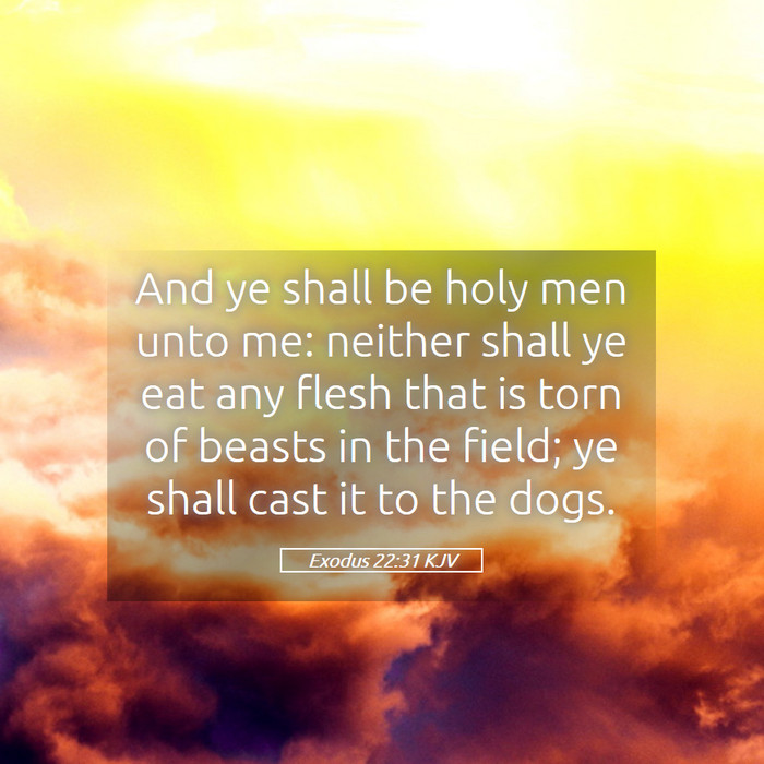 Exodus 22:31 KJV Bible Study