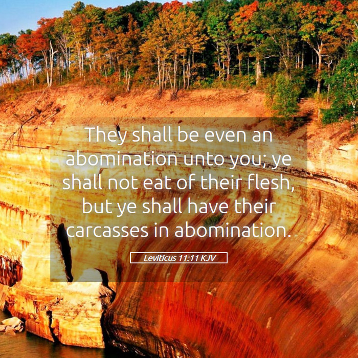 Leviticus 11:11 KJV Bible Study