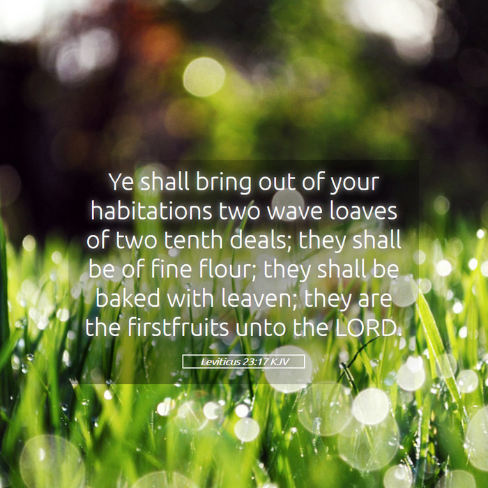 Leviticus 23:17 KJV Bible Study