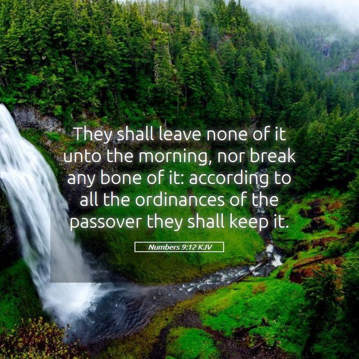 Numbers 9:12 KJV Bible Study