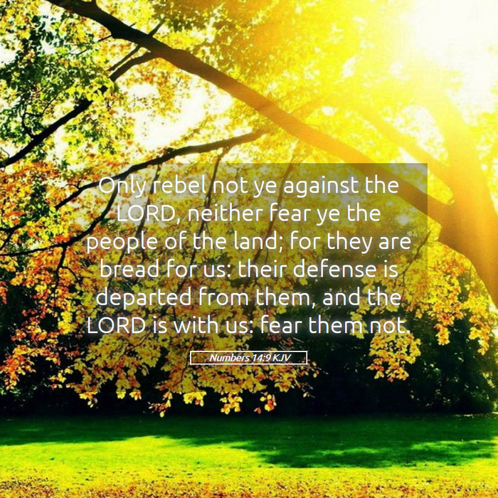 Numbers 14:9 KJV Bible Study