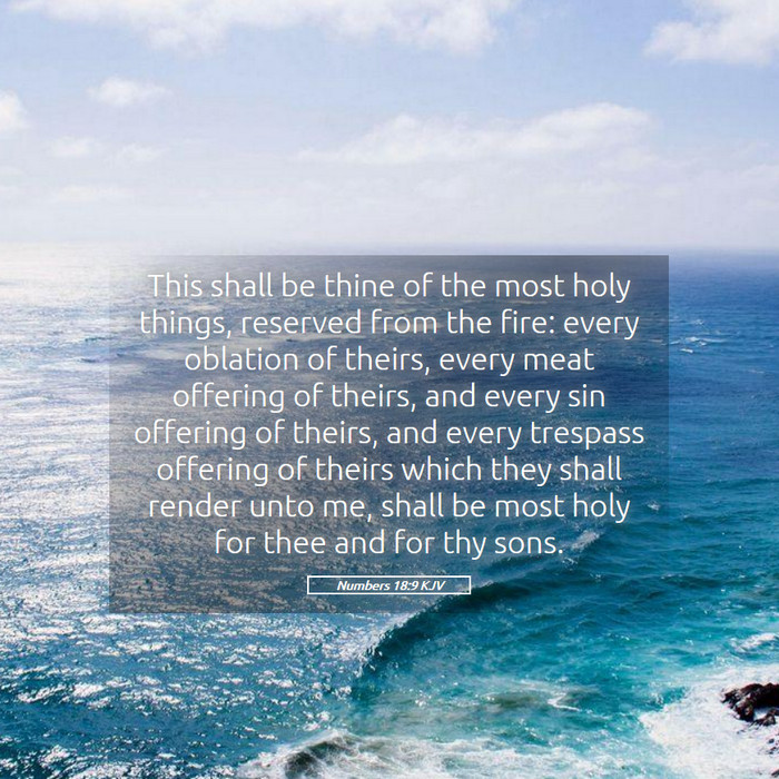 Numbers 18:9 KJV Bible Study