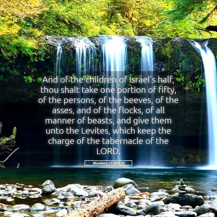 Numbers 31:30 KJV Bible Study