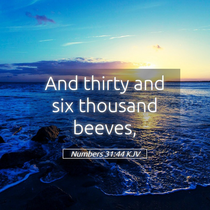 Numbers 31:44 KJV Bible Study