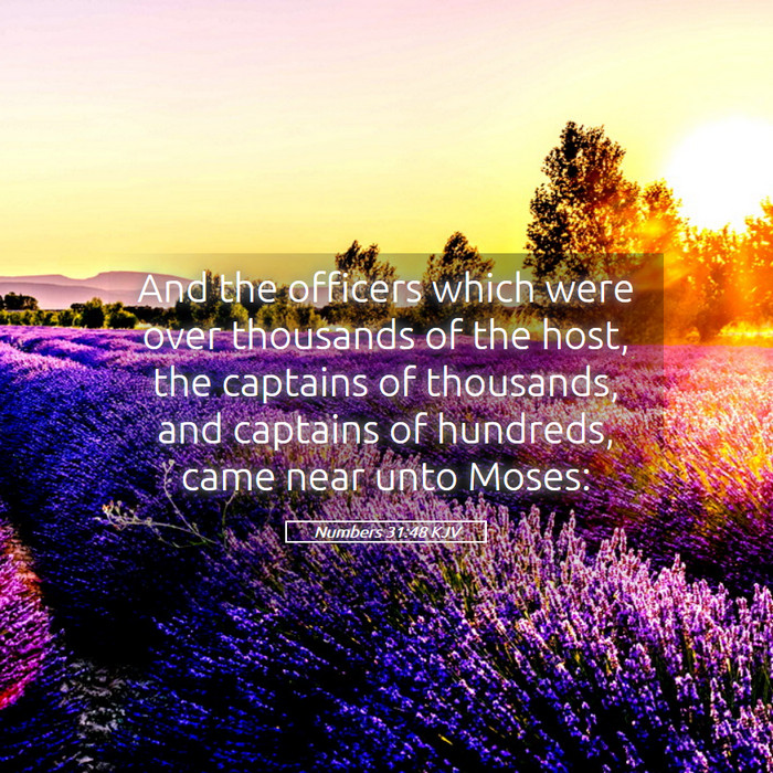 Numbers 31:48 KJV Bible Study