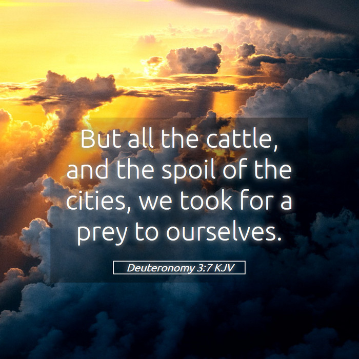 Deuteronomy 3:7 KJV Bible Study