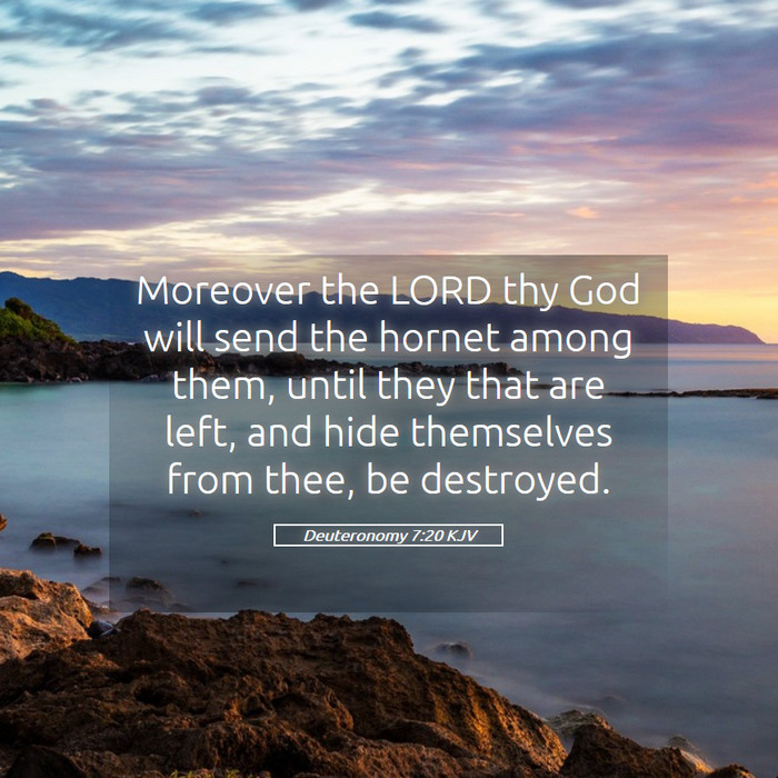 Deuteronomy 7:20 KJV Bible Study