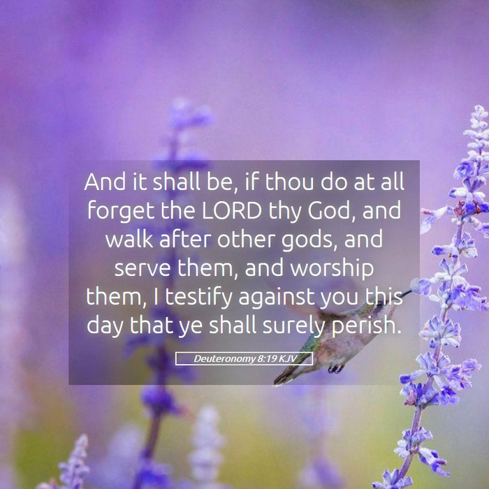 Deuteronomy 8:19 KJV Bible Study