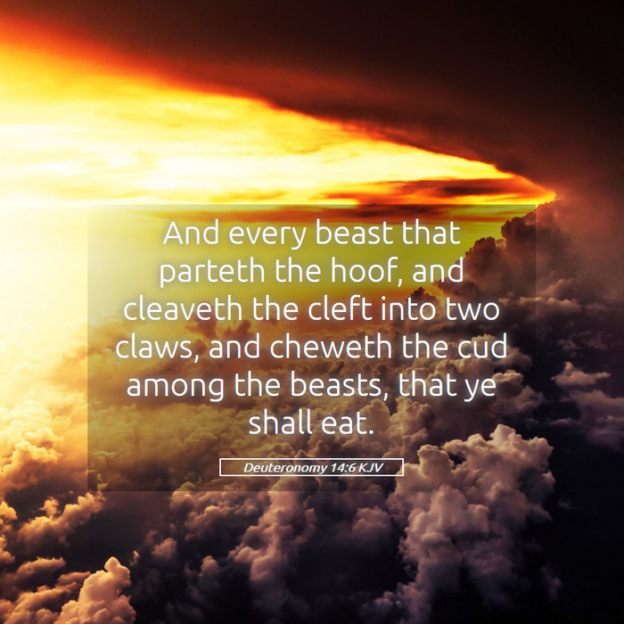 Deuteronomy 14:6 KJV Bible Study