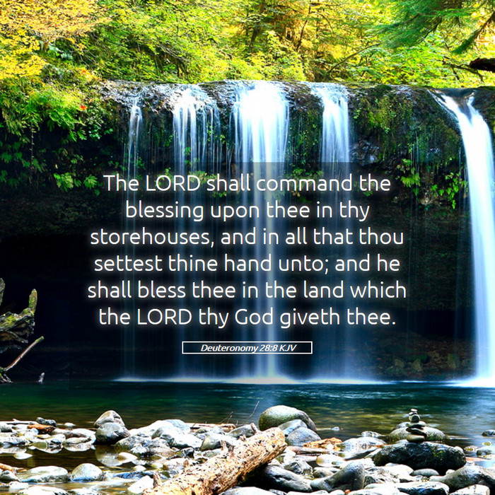 Deuteronomy 28:8 KJV Bible Study