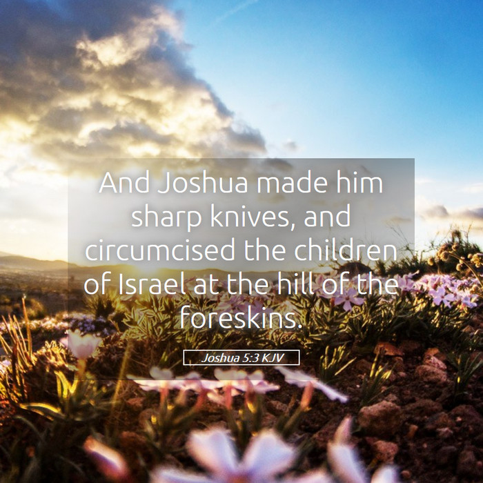 Joshua 5:3 KJV Bible Study