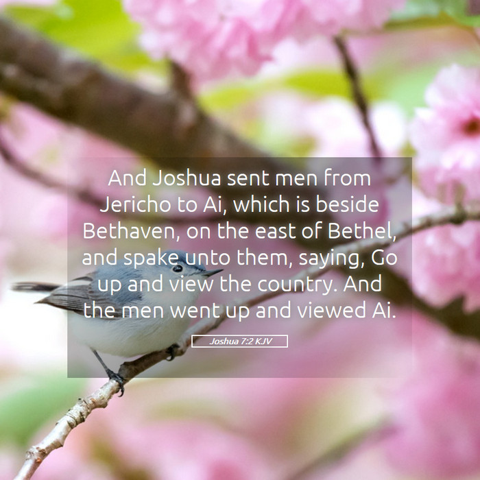 Joshua 7:2 KJV Bible Study