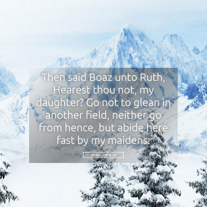 Ruth 2:8 KJV Bible Study