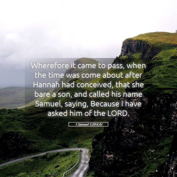 1 Samuel 1:20 KJV Bible Study