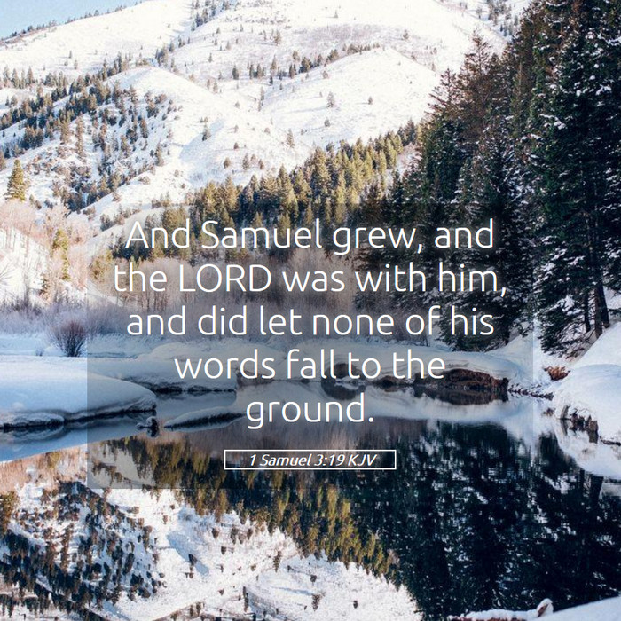 1 Samuel 3:19 KJV Bible Study