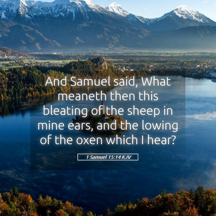 1 Samuel 15:14 KJV Bible Study