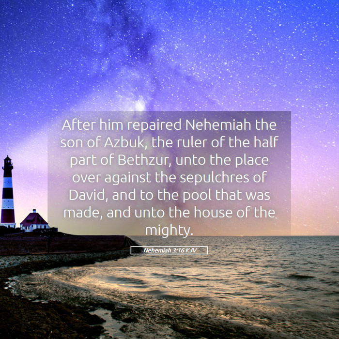 Nehemiah 3:16 KJV Bible Study