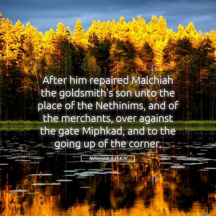 Nehemiah 3:31 KJV Bible Study