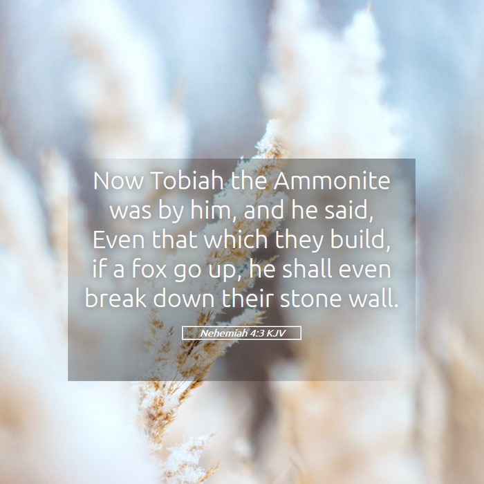 Nehemiah 4:3 KJV Bible Study