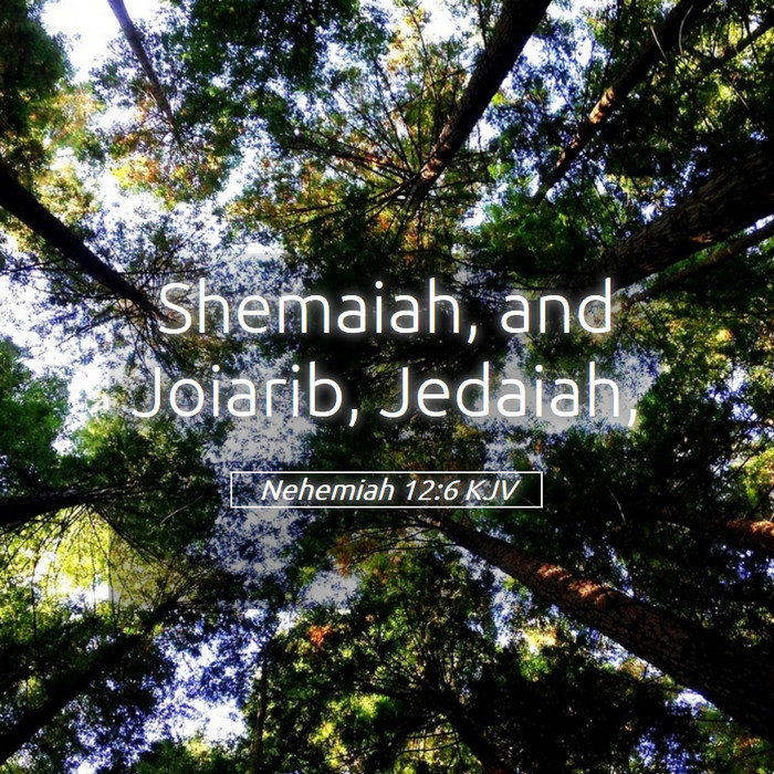 Nehemiah 12:6 KJV Bible Study