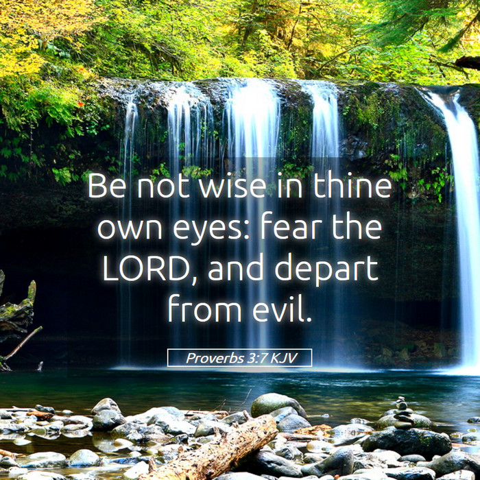 Proverbs 3:7 KJV Bible Study