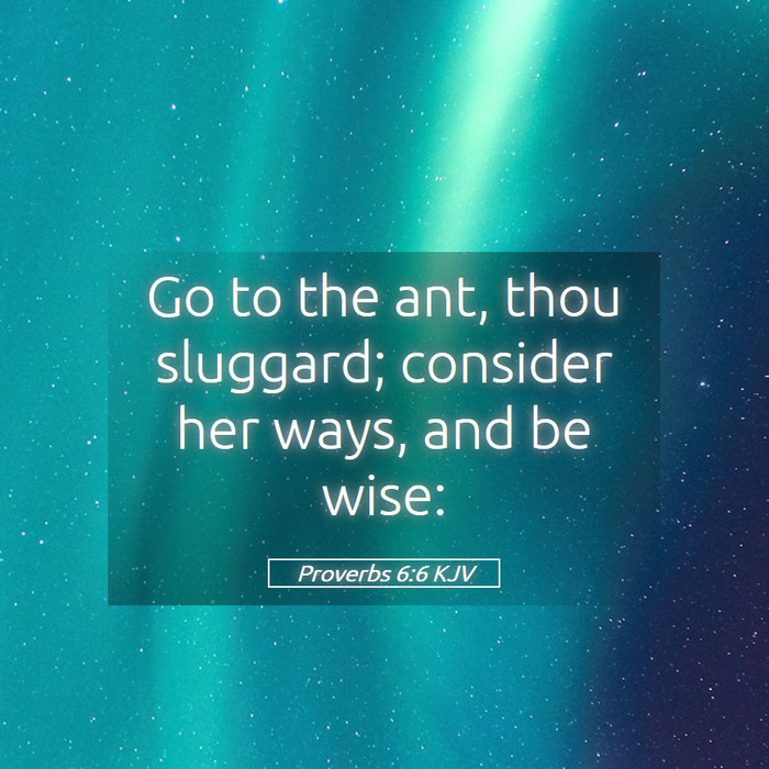 Proverbs 6:6 KJV Bible Study