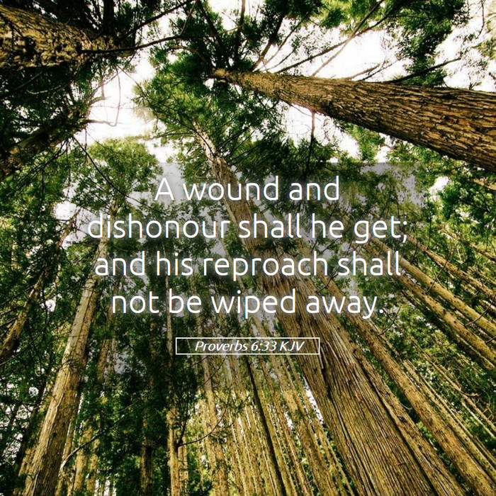 Proverbs 6:33 KJV Bible Study