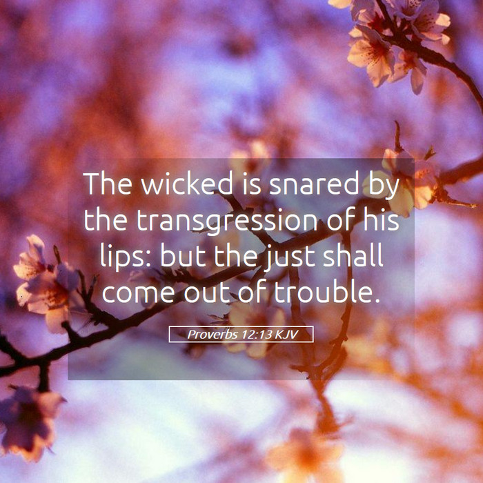 Proverbs 12:13 KJV Bible Study