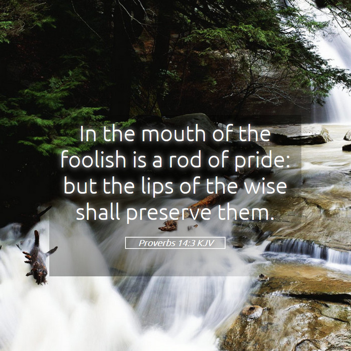 Proverbs 14:3 KJV Bible Study