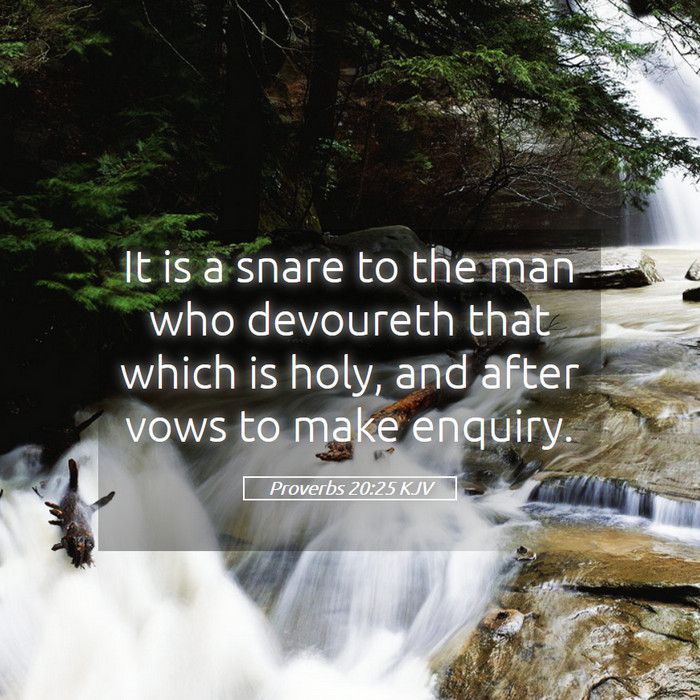 Proverbs 20:25 KJV Bible Study