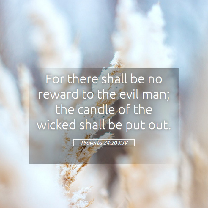 Proverbs 24:20 KJV Bible Study