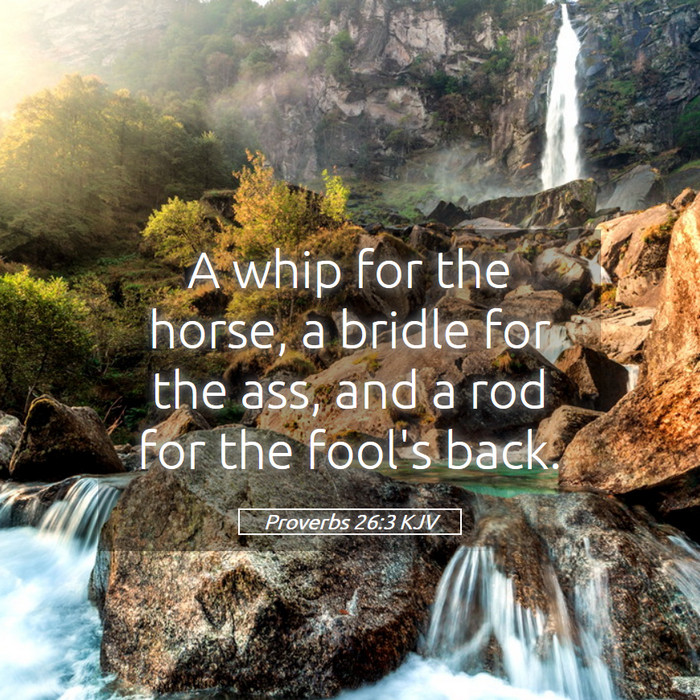 Proverbs 26:3 KJV Bible Study