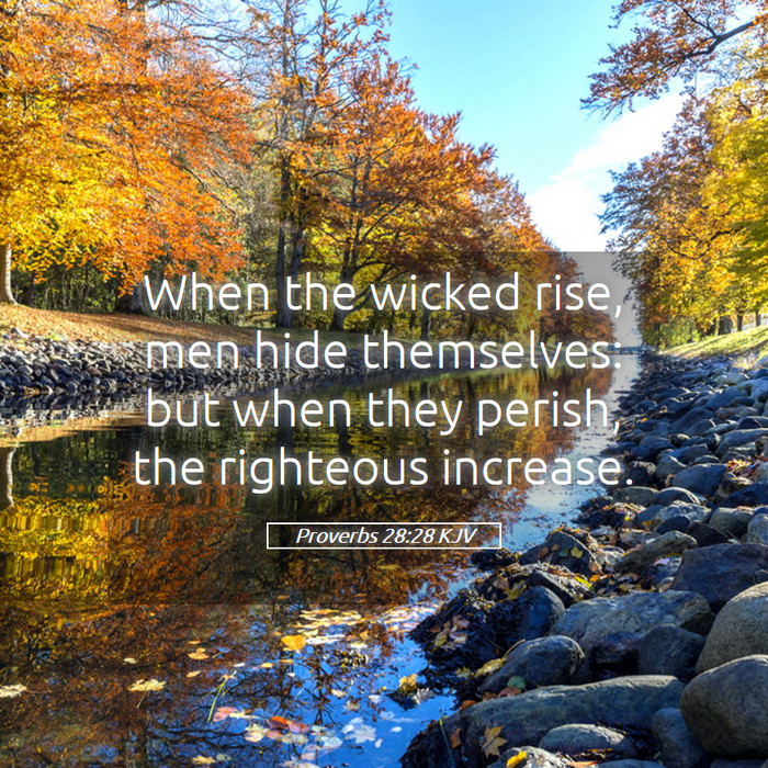 Proverbs 28:28 KJV Bible Study