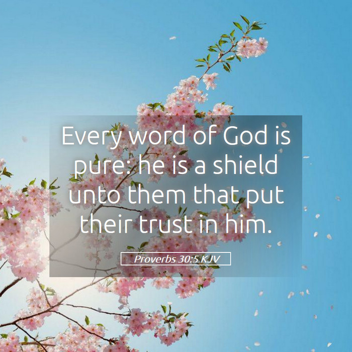 Proverbs 30:5 KJV Bible Study