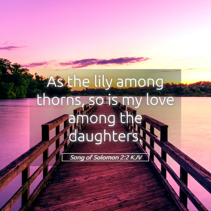 Song of Solomon 2:2 KJV Bible Study