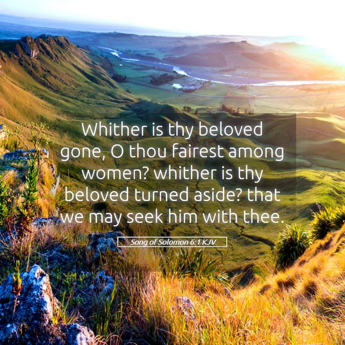 Song of Solomon 6:1 KJV Bible Study