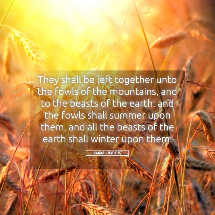 Isaiah 18:6 KJV Bible Study