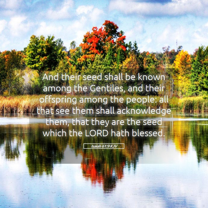 Isaiah 61:9 KJV Bible Study