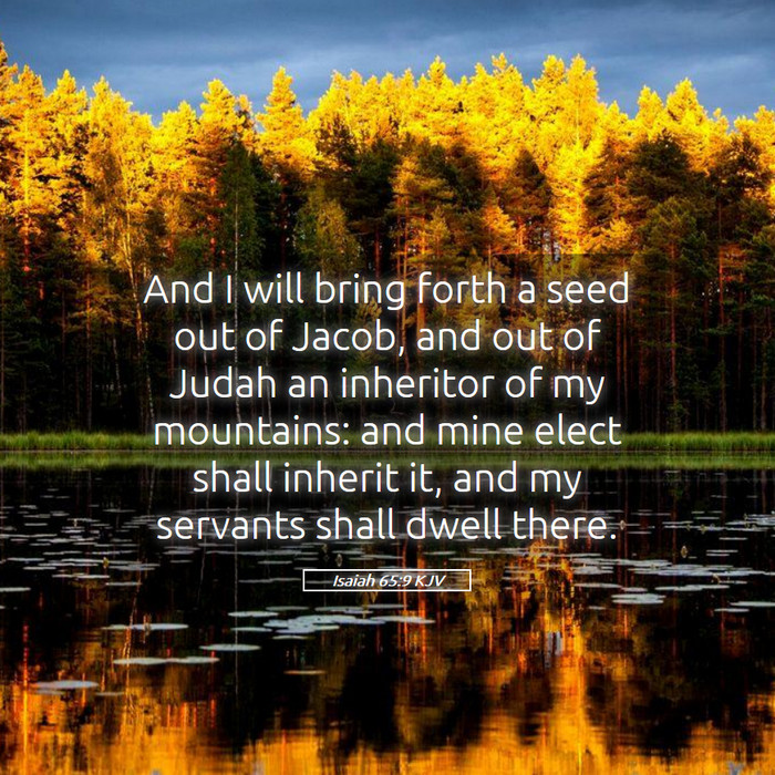 Isaiah 65:9 KJV Bible Study