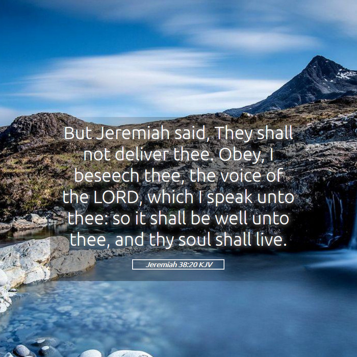 Jeremiah 38:20 KJV Bible Study