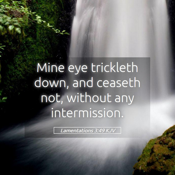 Lamentations 3:49 KJV Bible Study