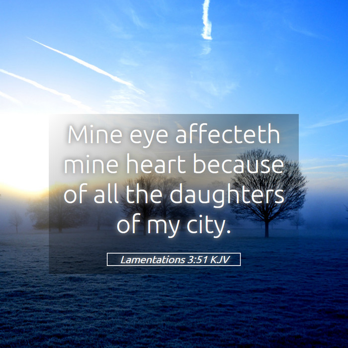 Lamentations 3:51 KJV Bible Study