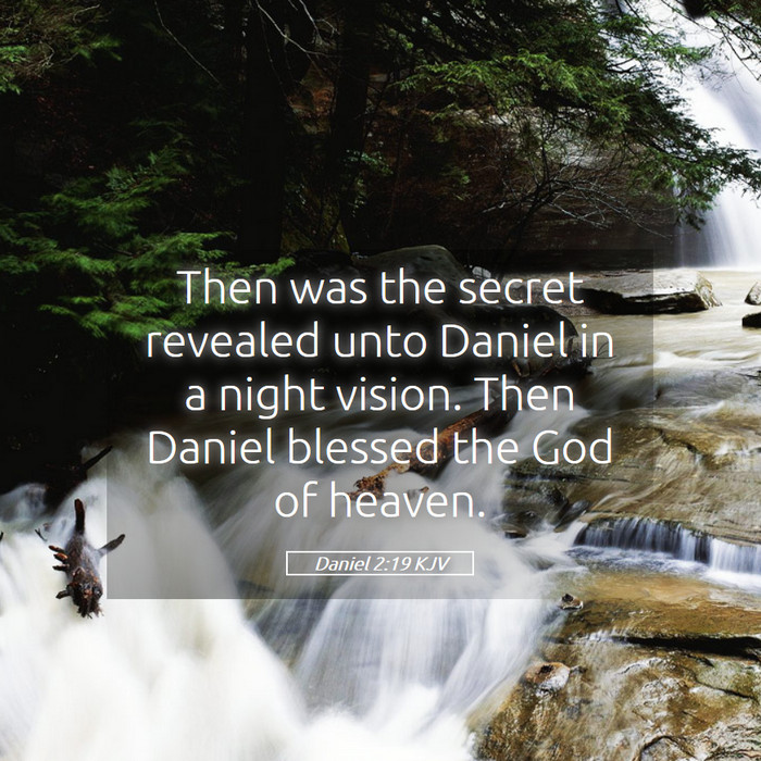 Daniel 2:19 KJV Bible Study