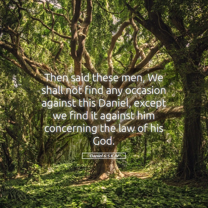 Daniel 6:5 KJV Bible Study