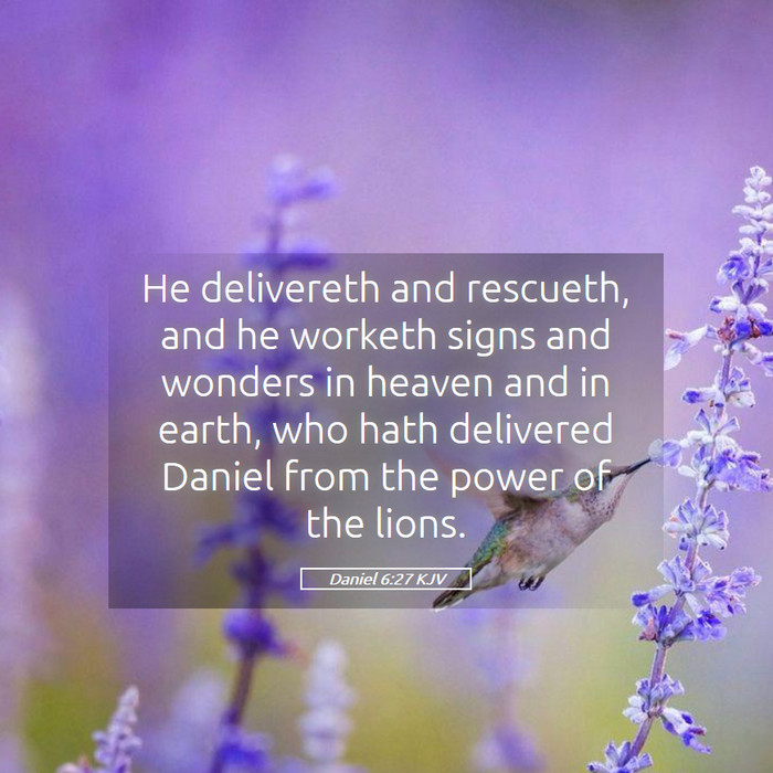 Daniel 6:27 KJV Bible Study