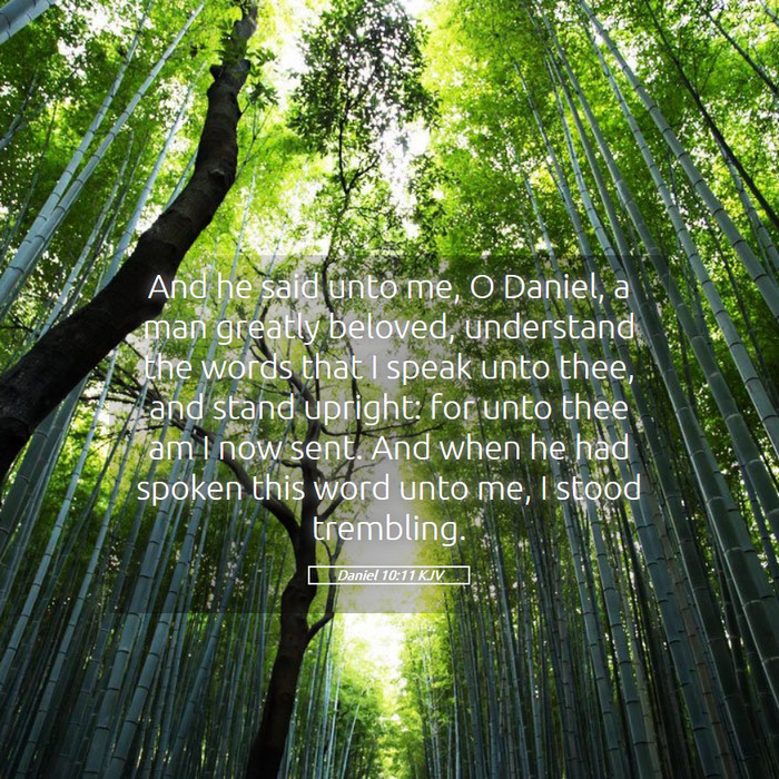 Daniel 10:11 KJV Bible Study