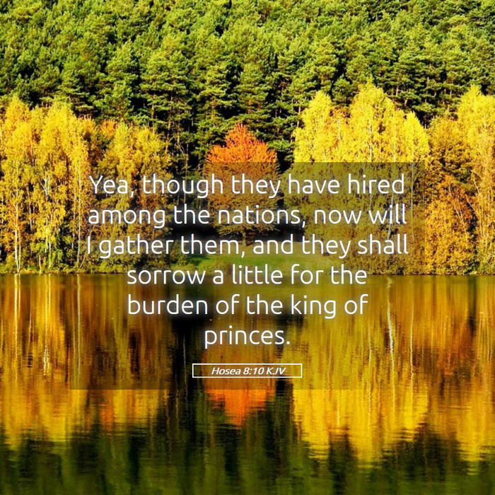 Hosea 8:10 KJV Bible Study