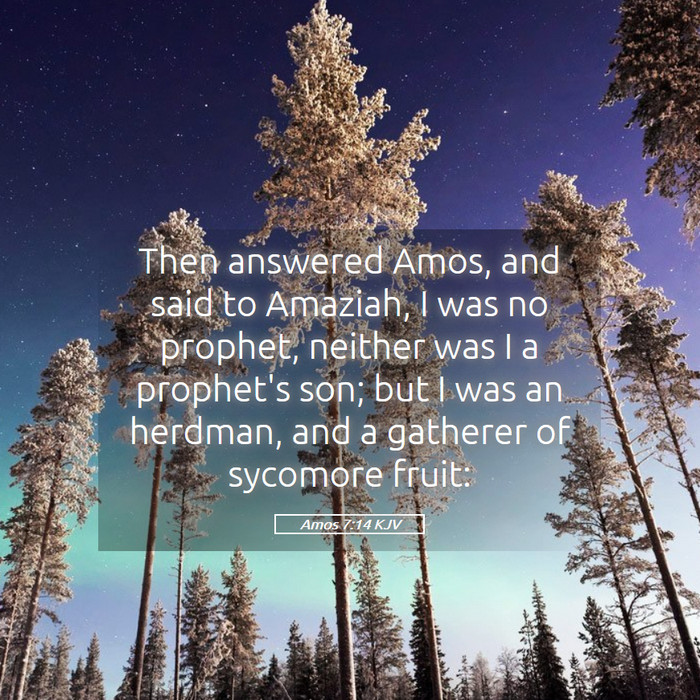 Amos 7:14 KJV Bible Study