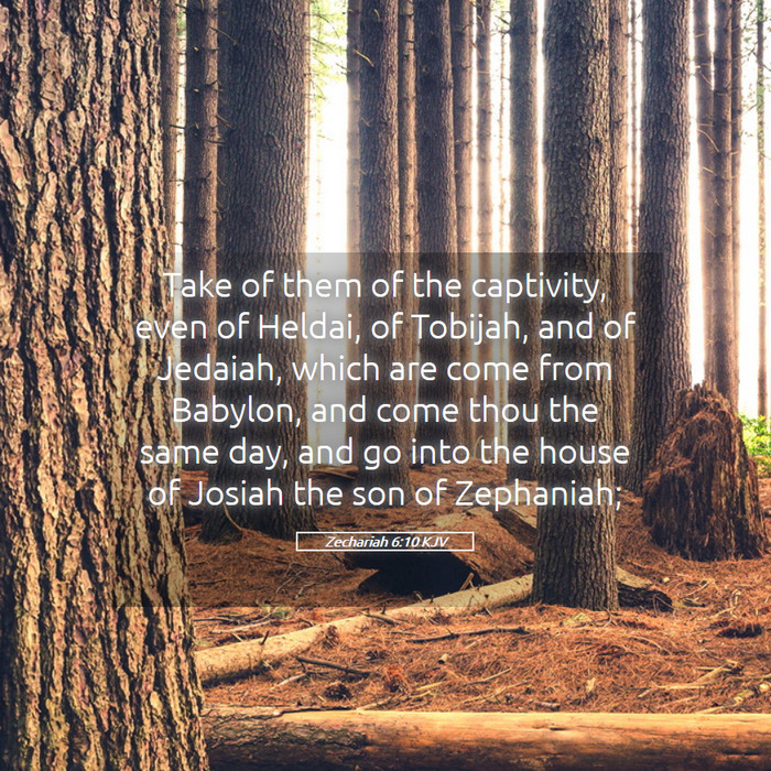 Zechariah 6:10 KJV Bible Study