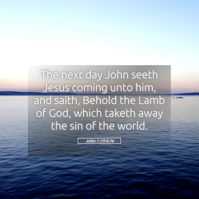 John 1:29 KJV Bible Study